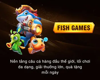Email Hỗ Trợ